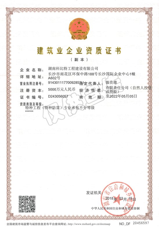 特種工程(特種防雷)專(zhuān)業(yè)承包不分等級資質(zhì)證書(shū)